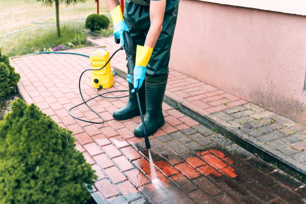 Best House Exterior Washing  in Thiells, NY